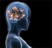 From Bone Health to Brain Health