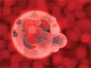 Seeking to Vastly Accelerate Aging Research