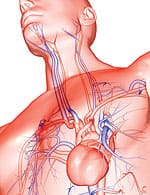 Cardiovascular Defense