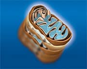 Life Extension Has No “Exit” Strategy