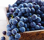 The Systemic Anti-Aging Effects of Ceramides