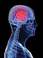 Mitochondrial Function and Longevity: The Definitive Link