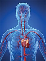 Anti-Cancer Mechanisms