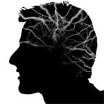 Reward Yourself: Balance Dopamine