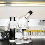 Cardiovascular and Anti-Cancer Research: A Lifesaving Link