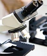 Other Benefits of Branched Chain Amino Acids