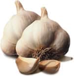 Garlic and Grape Seed Supplementation Associated with Fewer Blood Cancers