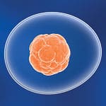 Achieving Physical Immortality