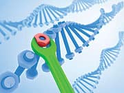 What the Future Holds