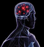 Modulating the Stress Response