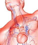 Neuroprotection and Brain Health