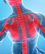 Chicken Cartilage Suppresses Joint Inflammation