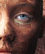 Pycnogenol® Protects Against Five Mechanisms of Aging