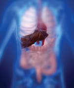 Novel Method to Effectively Combat Oxidative Liver Damage