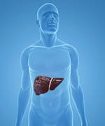 The Deadly Impact of Excessive Liver Fat