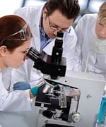 Blueberries’ Multiple Health Benefits Explained