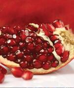 Fight Heart Disease by Activating a Protective Enzyme