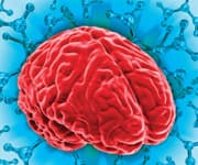 The Effect of Stress on Your Brain