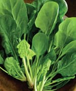 Suppressing Arachidonic Acid Byproducts