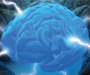 Help Delay Alzheimer's Disease