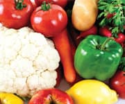 Champion Supplement Picks