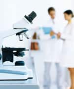 Quercetin Combats Major Causes of Aging