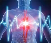 heartbeat/heartattack