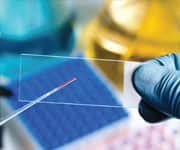 Ubiquinol Provides Superior Bioavailability