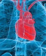 Reduced Urinary Magnesium Levels Linked to Elevated Ischemic Heart Disease Risk