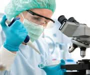 Zinc Helps Balance Immune Response