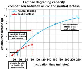 FIGURE 5: Greater Lactose-Digesting Capacity of Neutral Lactase