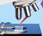 Dietary Supplements and Exercise Associated with Lower Heart Disease Risk in Women