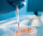 Higher Dose Metformin Associated with Improved Survival Among Colorectal Cancer Patients