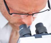 Life-Extending Mechanism of Rhodiola Explored