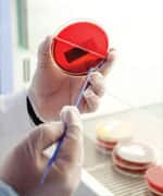 Reverse Active Liver Damage