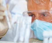 Phloridzin’s Mechanisms Of Action