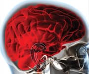 Healthy Brains Associated With High Levels Of Omega-3s