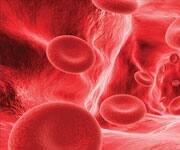 Active Form Of Vitamin D Shows Promise In Animal Model Of Multiple Sclerosis