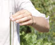 Increasing Milk Thistle Absorption