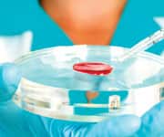 How Men Naturally Make Estrogen