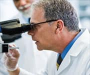 Greater Lycopene Intake Associated With Lower Prostate Cancer Risk