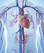 Pycnogenol Protects Against Oxidative Damage