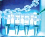 Creatine Shows Promise In Huntington Disease