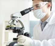 Primate Brains Show Omega-3 Benefit