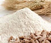 Six Factors Behind Gut Imbalance