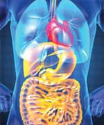 The Dangers Of Gut Imbalance