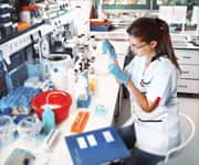 Superoxide Dismutase For Supercharged Antioxidant Protection