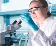 Severe Calorie Restriction Suspends Worm Development