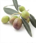 Natural Extracts Lower Blood Pressure