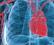 Cardiovascular Risks Overlooked In Antidiabetes Drug Trials